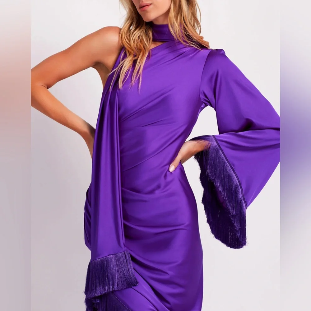 Patbo fringe trim Oscar dress ***stunning*** - Picture 7 of 8